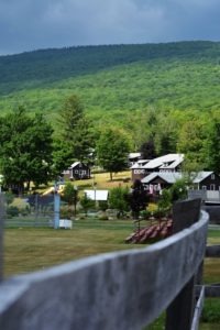 Camp Loyaltown