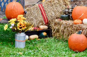 Photo of pumpkins and other fall decoration