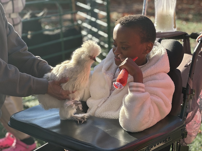 IMG_4242 | Citizens Options Unlimited A resident of the Shoreham ICF observes a chicken from the petting zoo