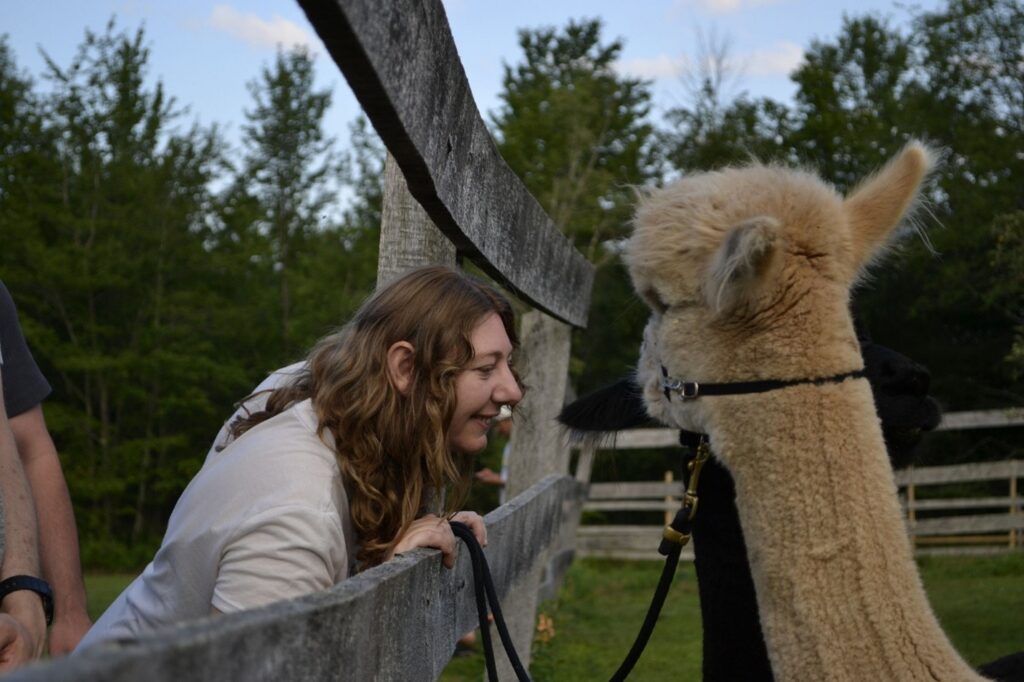 Justine Bortell interacts with an alpaca at Camp Loyaltown