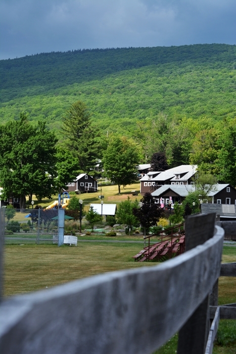 Camp Loyaltown About Us | Citizens Options Unlimited Camp Loyaltown