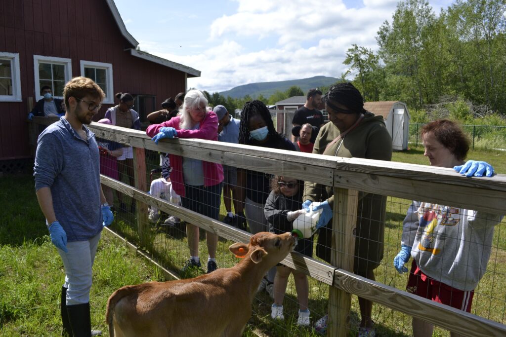 Campers interacting with animals at Camp Loyaltown