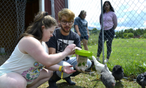A Camp Loyaltown Counselor and Camper feeding chickens