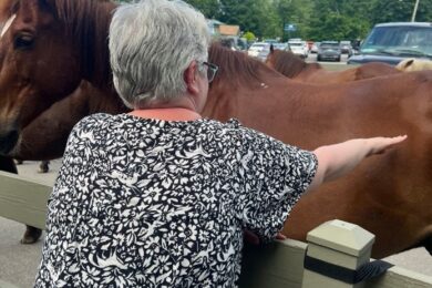 A Citizens resident brushes a horse at Rocking Horse Ranch.