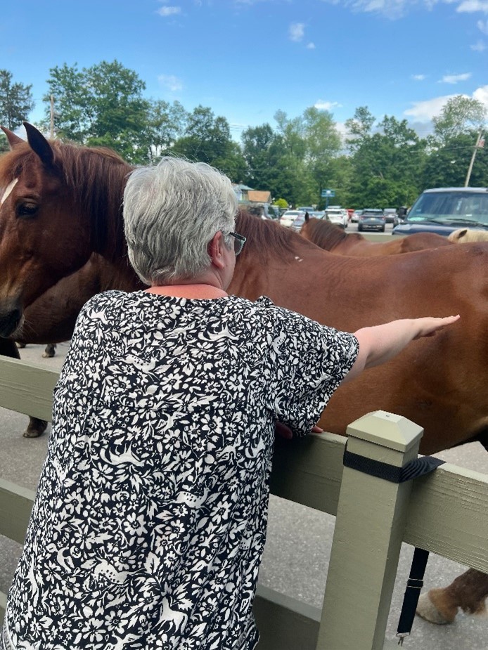 A Citizens resident brushes a horse at Rocking Horse Ranch.